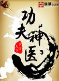 功夫神医在都市 林丹 林蕾