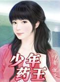 少年药王全集
