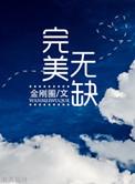 完美无缺的反义词