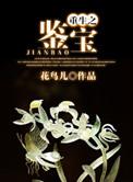 重生之鉴宝神瞳短剧全集