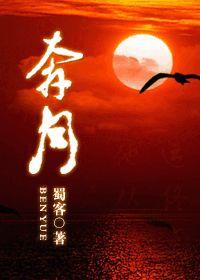 奔月月话