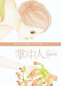 掌中人播出了吗